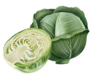 cabbage.png